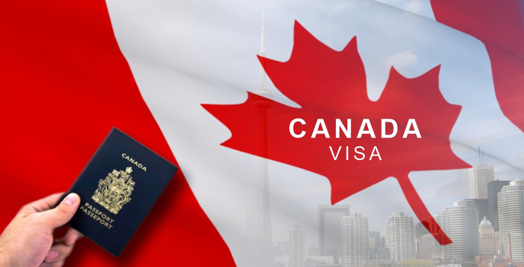 canada-work-visa-news